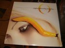 A PERFECT CIRCLE Tool Thirteenth Step  2LP STILL SEALED