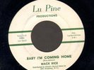 R&B SOUL 45 Mack Rice BABY I'M COMING HOME Lu Pine 1019