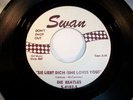 The Beatles Swan S-4182-5 Sie Liebt Dich She Loves You 