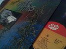 CAPITAL LETTERS'' VINEYARD'' KILLER LP