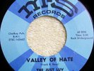 THE JUST LUV VALLEY OF HATE M-S RECORDS #216
