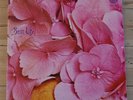 Still Life Rare original Vertigo Swirl LP