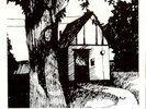 Cottage Songs by Naomi Lewis