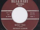 Blues   DETROIT JUNIOR   Money Tree   HEAR