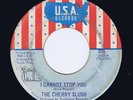 GREAT RARE GARAGE 45 CHERRY SLUSH ON USA  ''I CANNOT ST
