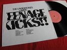 THE UNDERTONES-Teenage kicks-  very rare LP  