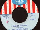 The Cherry Slush I Cannot Stop You Stompin Garage Punk 