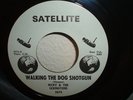 RICKY & THE LEXINGTONS Have A Heart Garage Rock 45