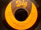 THE DIAMONETTES Don't Be Surprised DIG MIAMI DEEP SOUL 
