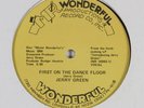 JERRY GREEN First On The Dance Floor WONDERFUL vocoder boogie 12