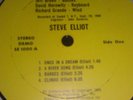STEVE ELLIOT   1969 Hippie Folk LONER PSYCH Rare DEMO Vinyl LP/NM-