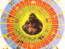 Pedro Santos Krishnanda Brazil LP grooves Breaks Psych  MINT/MINT
