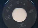 SKA BEAT 45 DON DE LION DON DRUMMOND/JO-AN MOVERS ?