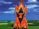 Rare David Bowie LP - Earthling (Ltd Edition Gatefold) 1997