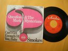 Question Mark & the Mysterians 