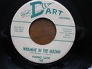 piano slim whammy in the gizzmo original us dart records 7