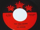 The Rogues 45 60's s garage punk Put You Down