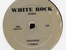 JACKIE ROBINSON pussyfooter / JOHN DAVIS i can't stop DISCO MASTERPIECE 12