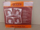 QUEEN- I WANT TO BREAK FREE- RAREST DUTCH PICTURE SLEEVE  WOW  RARE LABEL-??