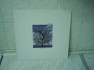 TALK TALK - SPIRIT OF EDEN (UK VINYL LP 1988)