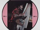BRUCE SPRINGSTEEN Back To The Roots Bruce Zirilli 4xLP picture disc