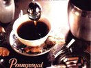 NIRVANA PENNYROYAL TEA rare