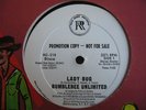 Bumblebee Unlimited - Lady Bug (LISTEN) WL Promo