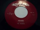 R&B DOO WOP - THE ROBINS ON SPARK RECORDS 45x107 - FRAMED -