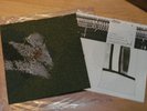 ZOVIET FRANCE   -   gris   (10