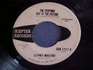 Johnny Maestro/I'm Stepping Out Of The Picture/Scepter/DJ/VG