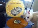 BEASTIE BOYS hello nasty DBL LP rare UNPLAYED limited  1st press GOLD VINYL NM