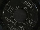 45 DANNY ZELLA & THE ZELL ROCKS on DIAL Sapphire rare Detroit rockabilly garage