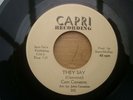 Rare Modern Crossover Soul 45 Cam Cameron on Capri