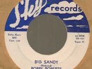 Bobby Roberts Big Sandy/She's my woman Sky 56-101 rare rockabilly high grade 45