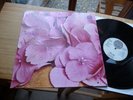 STILL LIFE SAME LP IN 1970 MINT VERTIGO SWIRL KRACHER