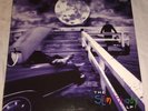 Eminem - The Real Slim Shady LP 12