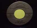 THE FREE WHEELERS Night Ride INSTRUMENTAL GARAGE SURF 45 Very Rare