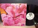 STILL LIFE s/t LP ORIGINAL UK VERTIGO Swirl Psych 1Y