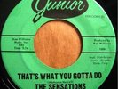 * YVONNE BAKER & THE SENSATIONS That's What You Gotta Do NORTHERN SOUL 45 Hear