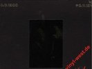 10LP SET Louis Armstrong - 4.7.1900 - 6.7.1971/VERVE