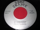 RARE PRIVATE ROCK 45 - FATAL DAMAGE - IF I HAD A WISH - TIME TRAVEL