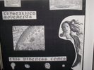 Crystalized Movements This Wideness Comes lp Psych Acid DIY
