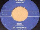 GREAT ROCK & ROLL INSTRUMENTAL, DANNY ZELLAS ROCKERS, ZEBRA
