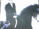 The Blue Nile Peace At Last LP RARE US 1996 STILL SEALED