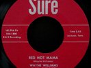 Rare ROCKABILLY 1958 WAYNE WILLIAMS RED HOT MAMA 1970's-MARIANO-REPRO M-