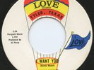 HEAR- Rare Northern Soul / Garage 45- Danny Wyant - I Want You- Love #L-797 - M-