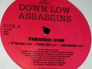 DOWN LOW ASSASSINS Tremendous Cream EP RARE RANDOM RAP hear 1997