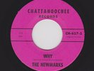 Rare 2-Sided White Doowop NEWMARKS Why/Goody Goody CHATTAHOOCHEE 627 Hear Both