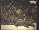 AUDIOPHILE LP sealed AUDIOQUEST Bruce Katz Band CRESCENT CRAWL TAS