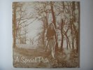 BECKY SEVERSON A Special Path LP on Artronics Private Xian Folk